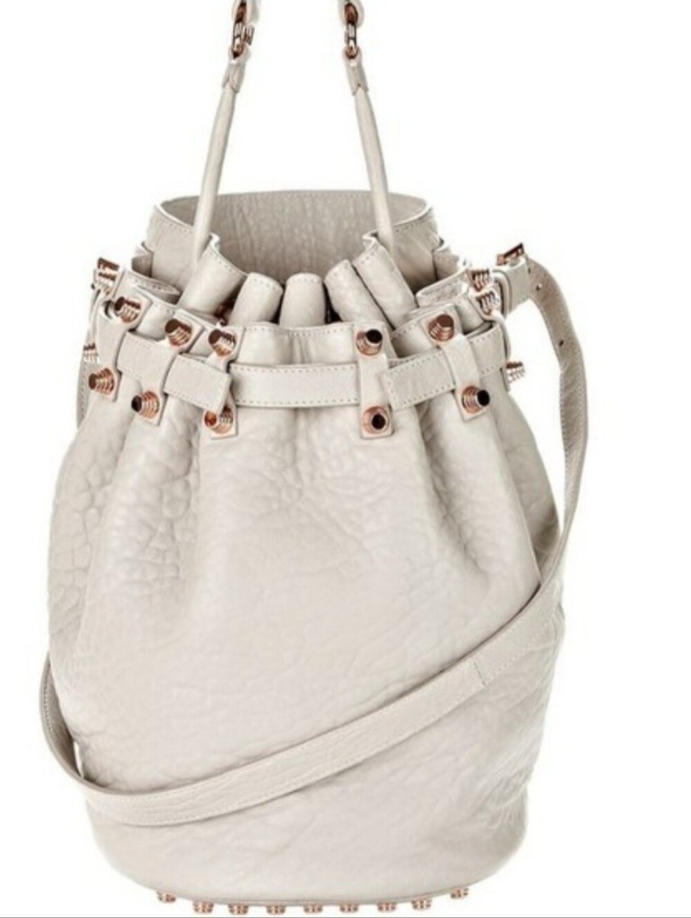 Rare Alexander Wang Studded Bag